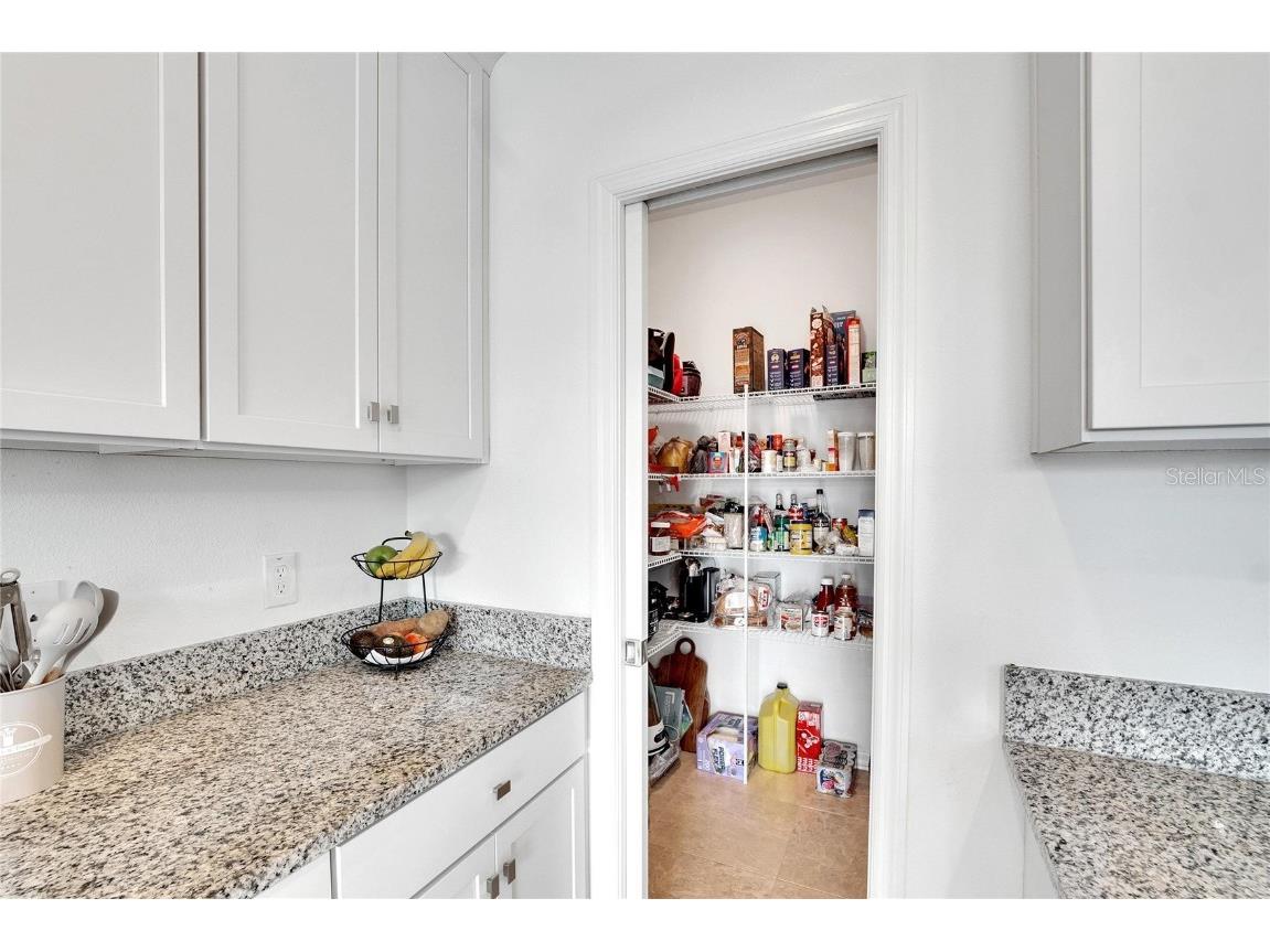 11453 Green Harvest Dr Drive Riverview FL 33578 TB8427101 image26