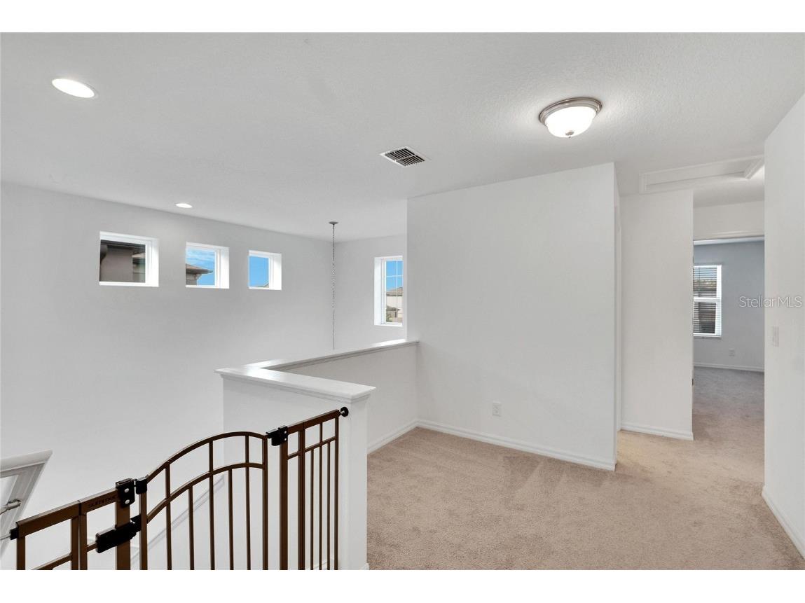 11453 Green Harvest Dr Drive Riverview FL 33578 TB8427101 image32