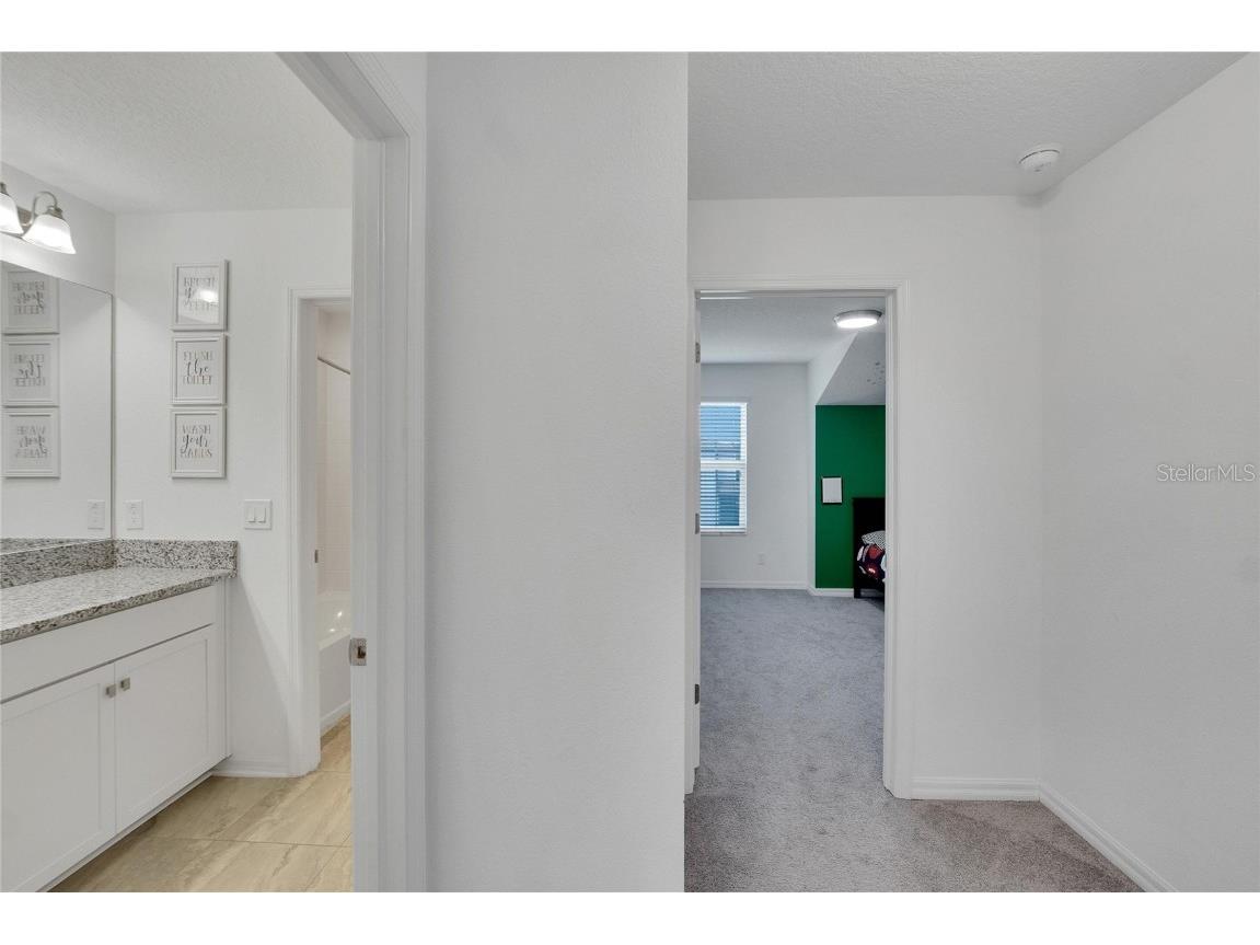 11453 Green Harvest Dr Drive Riverview FL 33578 TB8427101 image36