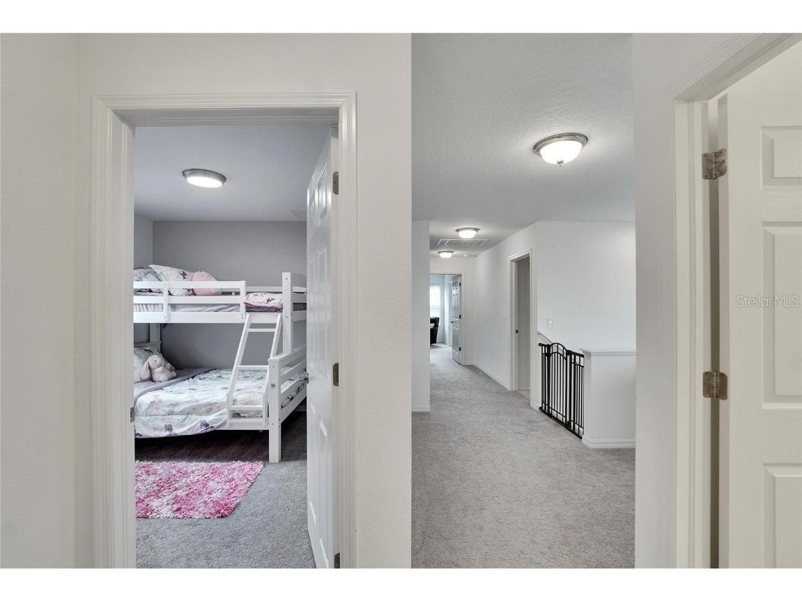 11453 Green Harvest Dr Drive Riverview FL 33578 TB8427101 image47