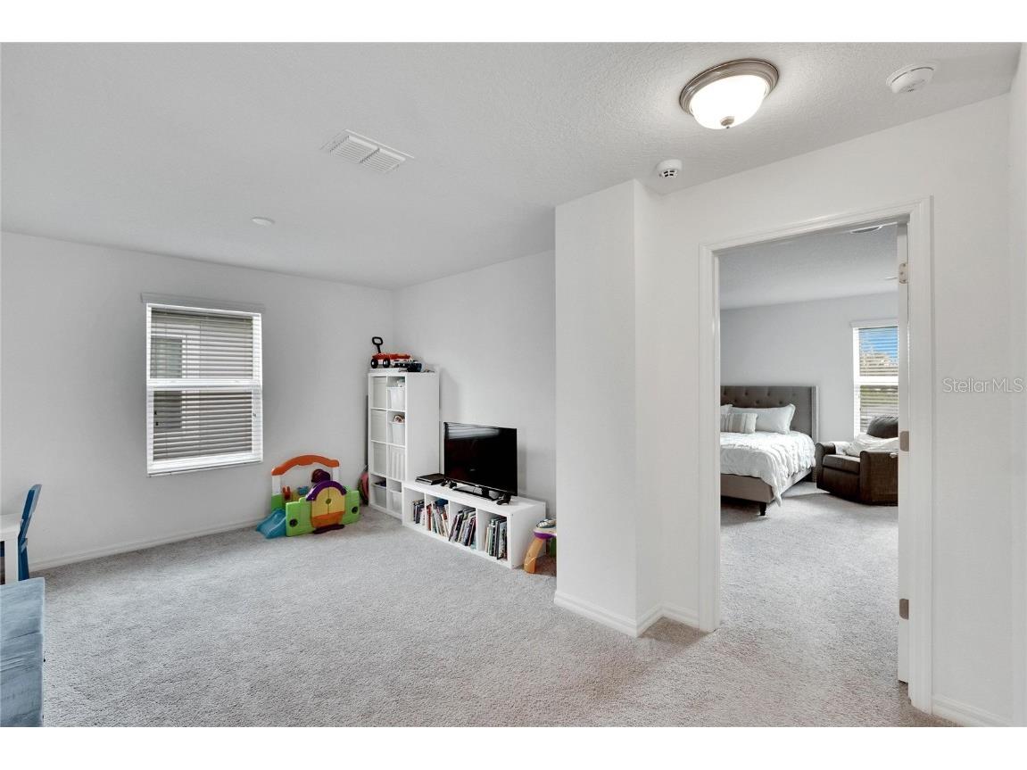 11453 Green Harvest Dr Drive Riverview FL 33578 TB8427101 image49