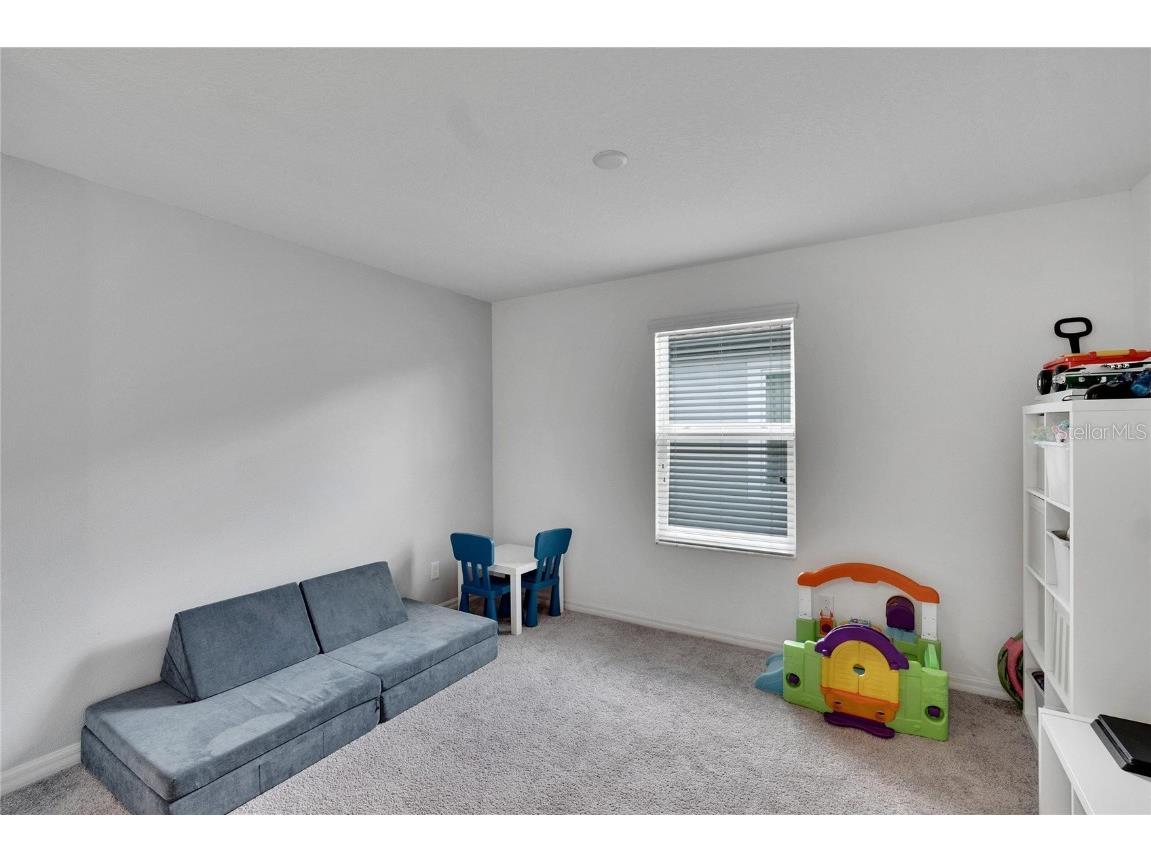 11453 Green Harvest Dr Drive Riverview FL 33578 TB8427101 image51