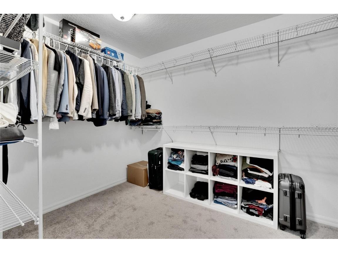 11453 Green Harvest Dr Drive Riverview FL 33578 TB8427101 image60