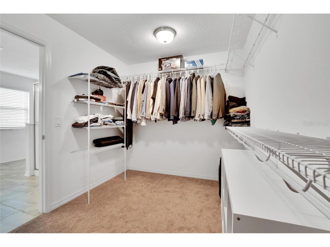 11453 Green Harvest Dr Drive Riverview FL 33578 TB8427101 image61