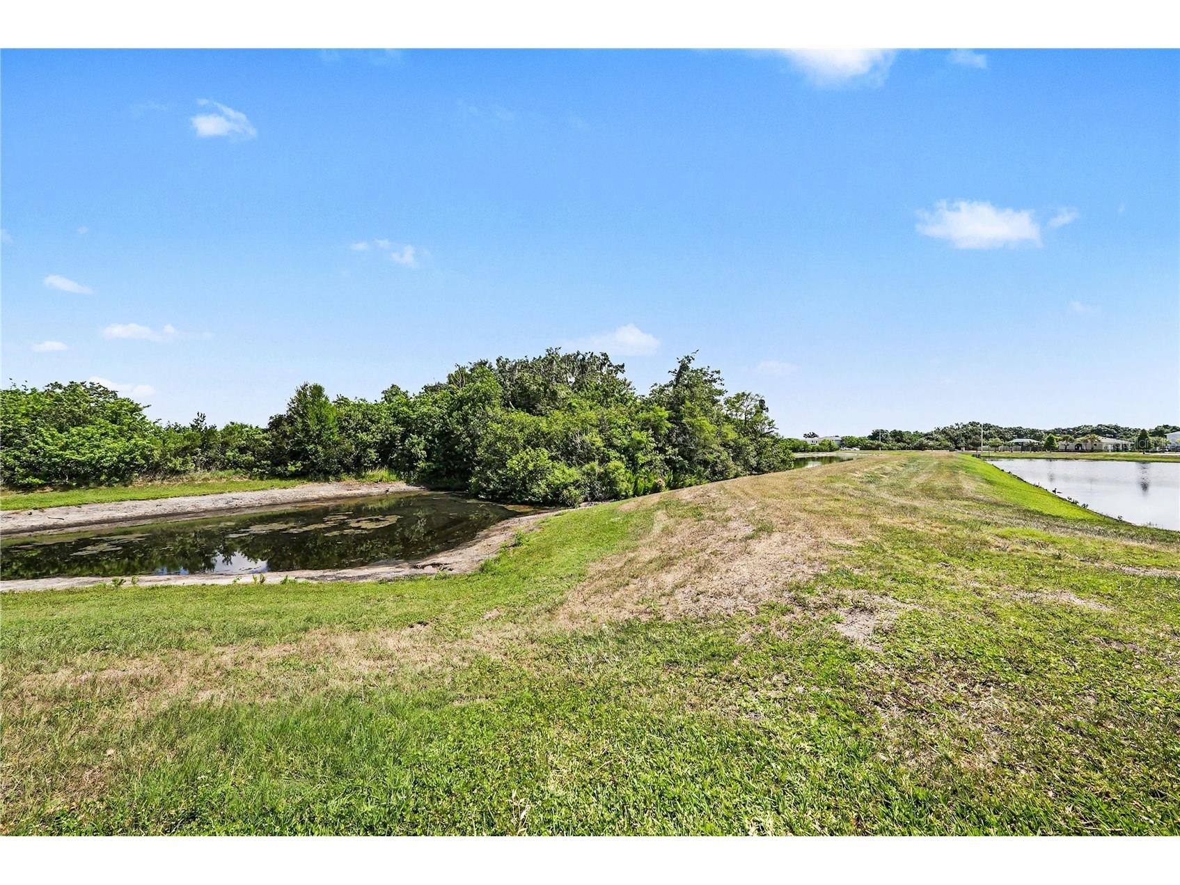 11453 Stone Pine Street Riverview FL 33569 TB8520839 image29