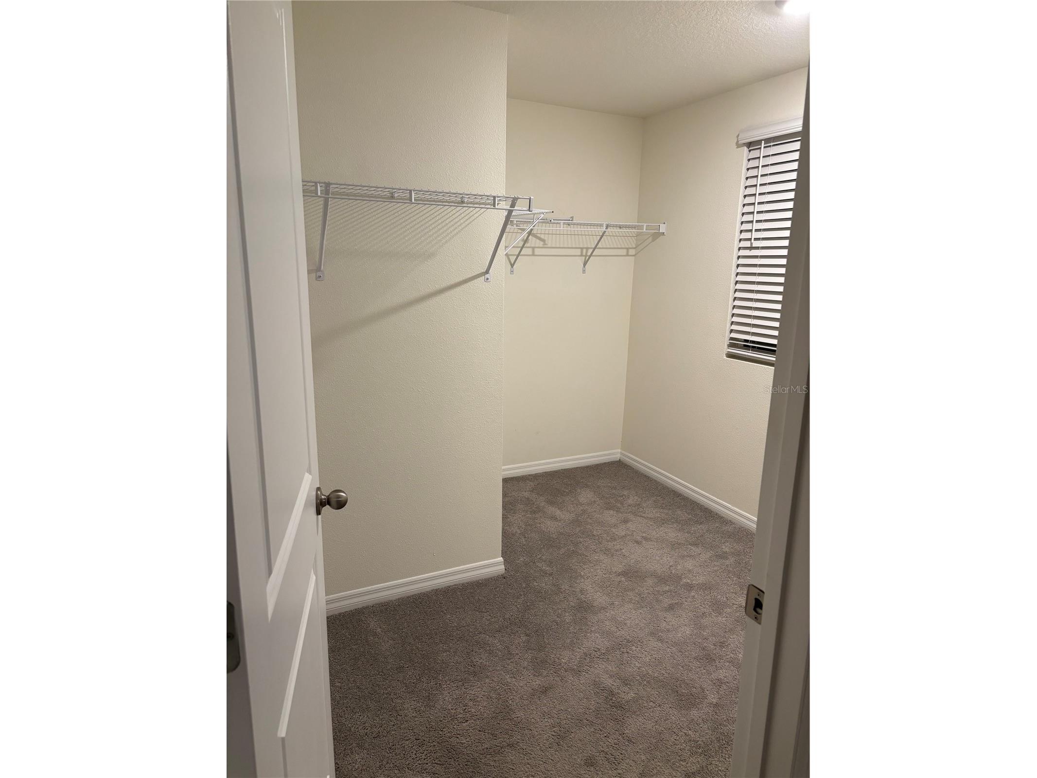 11454 Stone Pine St Street Riverview FL 33569 TB8520155 image11