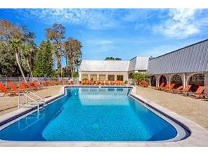 11455 Golf Round Drive New Port Richey FL 34654 TB8511874 image24