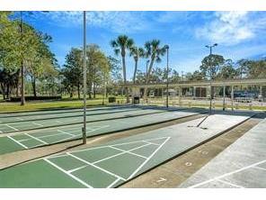 11455 Golf Round Drive New Port Richey FL 34654 TB8511874 image27