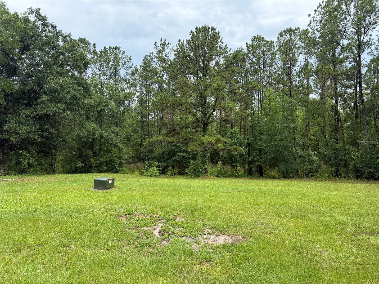 11455 NW 110th Avenue Reddick FL 32686 OM726853 image13