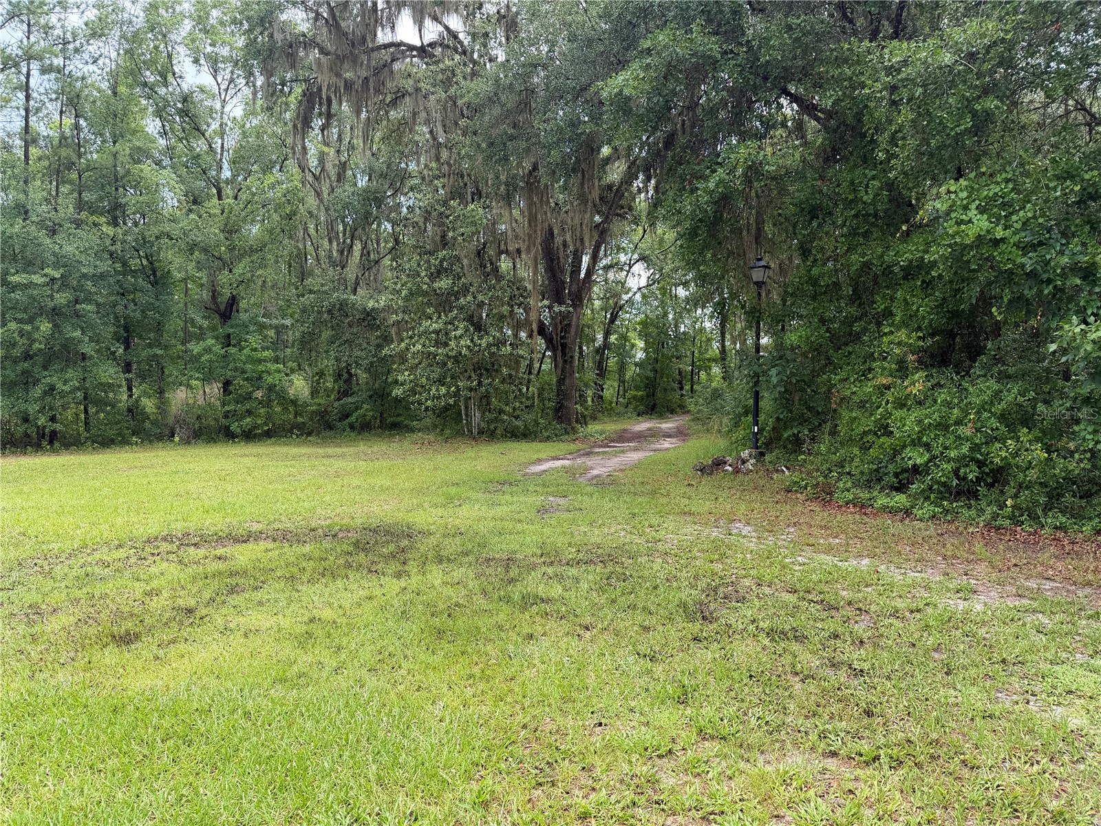 11455 NW 110th Avenue Reddick FL 32686 OM726853 image14