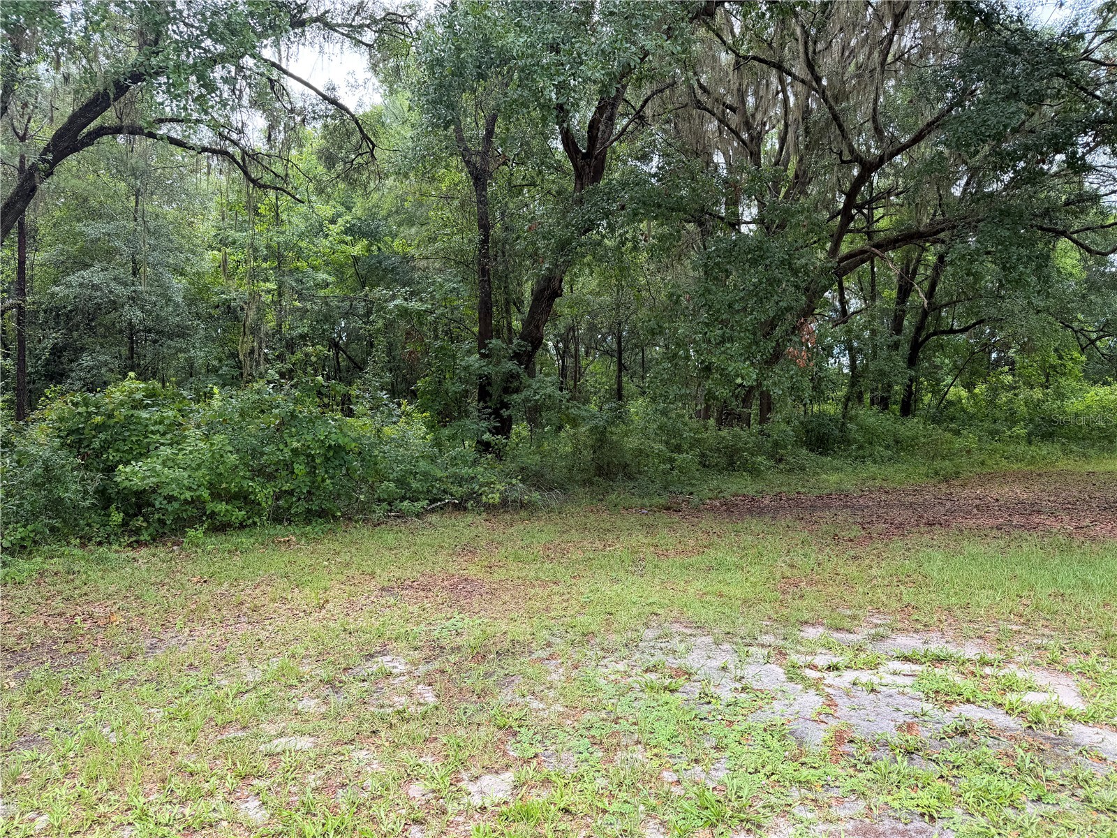 11455 NW 110th Avenue Reddick FL 32686 OM726853 image15