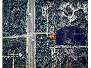 11455 S Rosewater Point Homosassa FL 34446 W7881009 image1