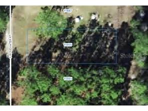 11455 S Rosewater Point Homosassa FL 34446 W7881009 image2