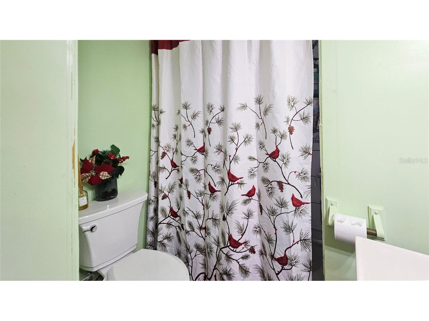 11455 SE Highway 464c Ocklawaha FL 32179 FC314634 image23