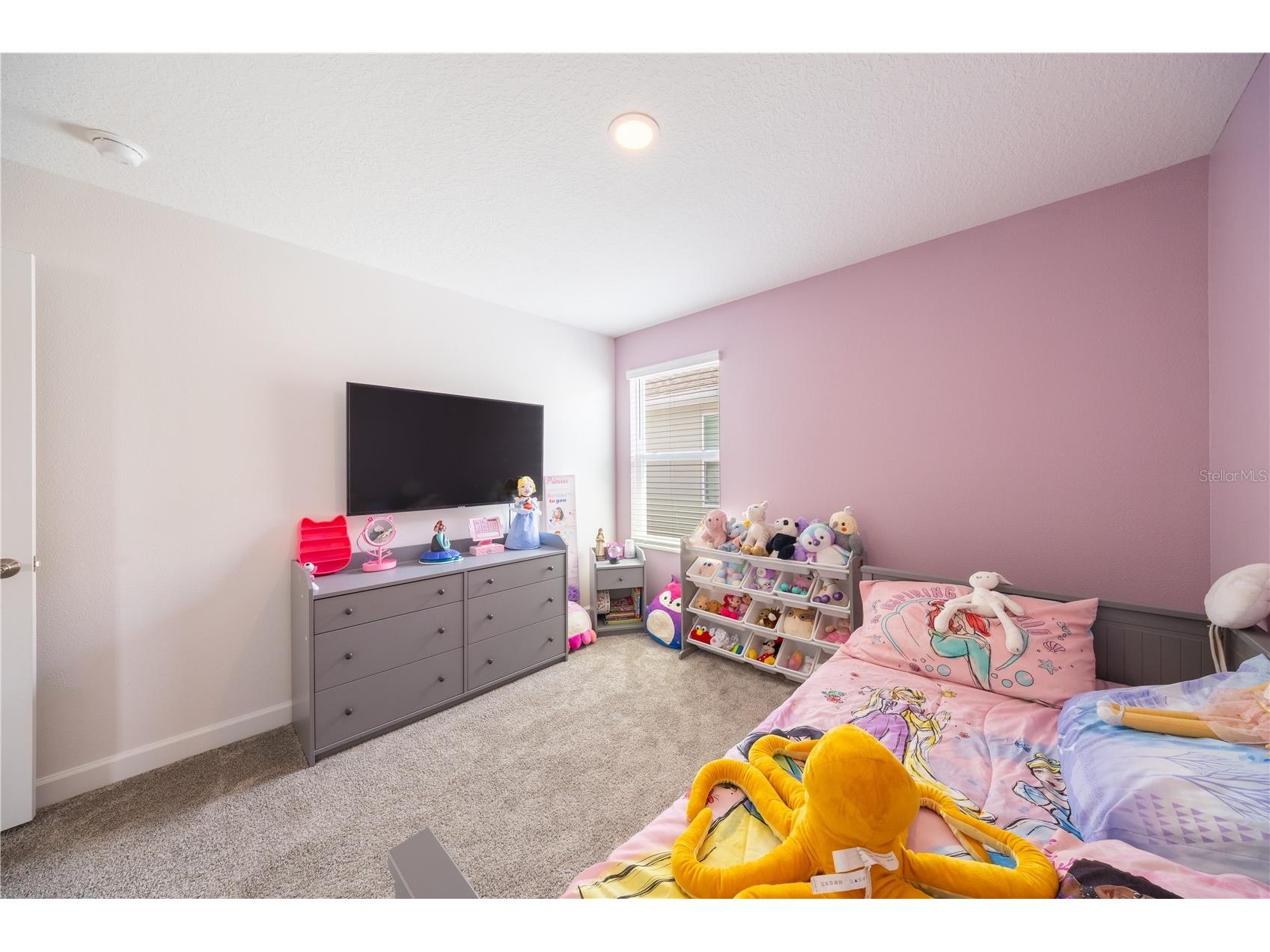 11456 Rhyme Avenue Orlando FL 32832 S5149055 image31