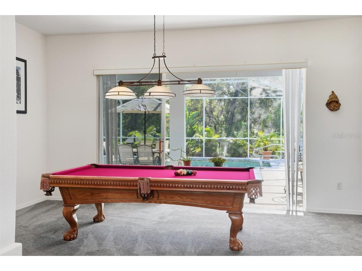 11457 Genter Drive Spring Hill FL 34609 W7879905 image28