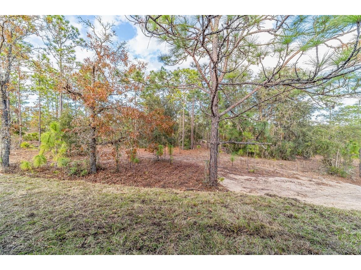 11457 N Condor Drive Dunnellon FL 34433 OM691432 image19