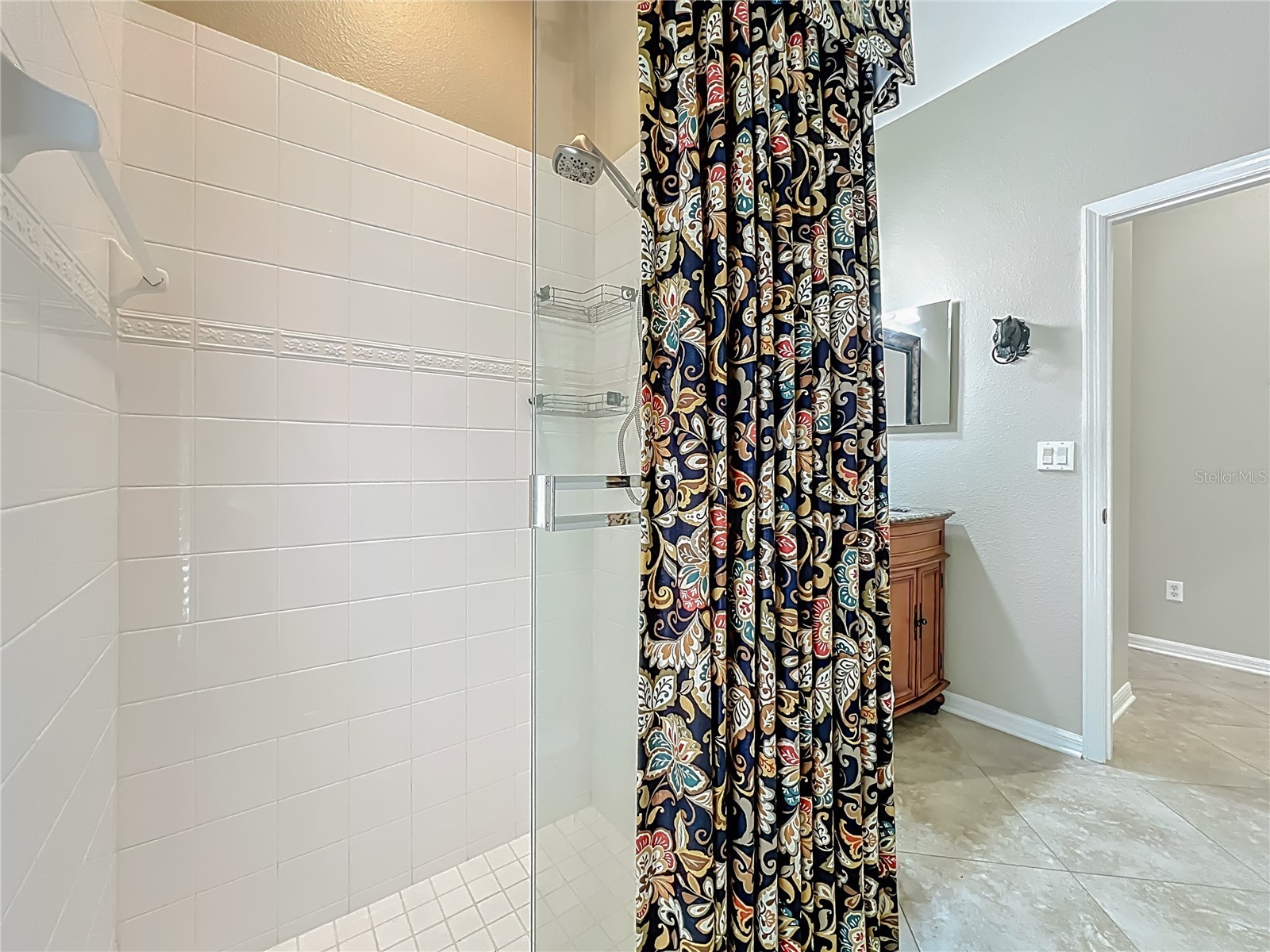 11457 Swift Water Circle Orlando FL 32817 O6387545 image47