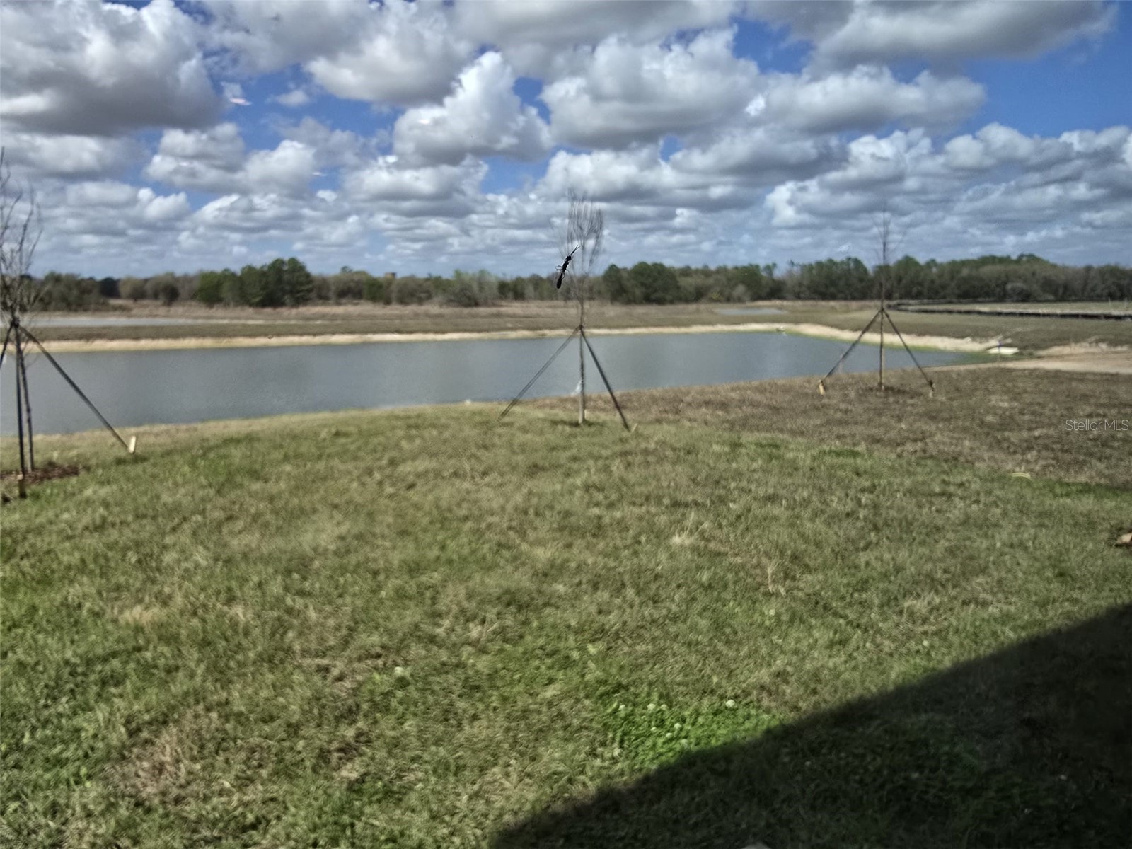 11458 Brae Way Dade City FL 33525 TB8485786 image52