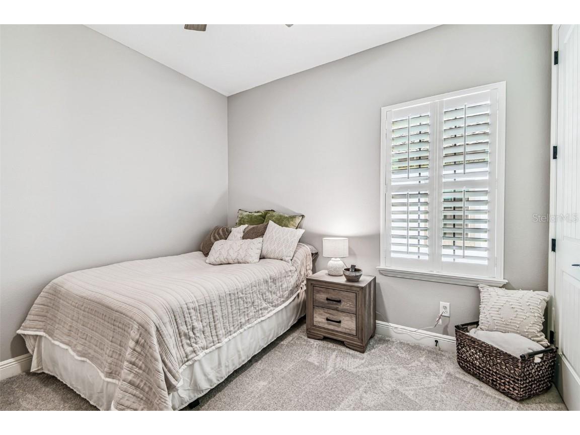 11458 Ranchers Gap Drive Odessa FL 33556 TB8418734 image23