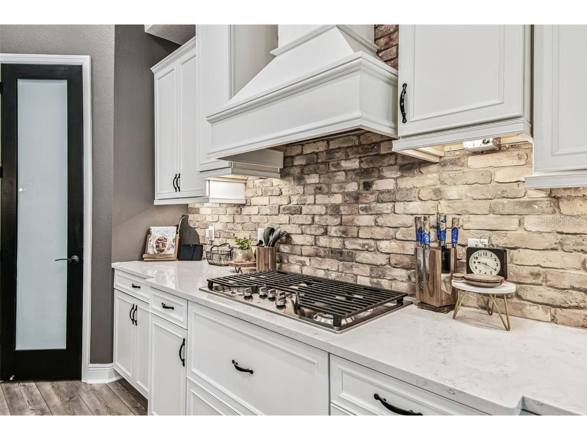 11458 Ranchers Gap Drive Odessa FL 33556 TB8418734 image28