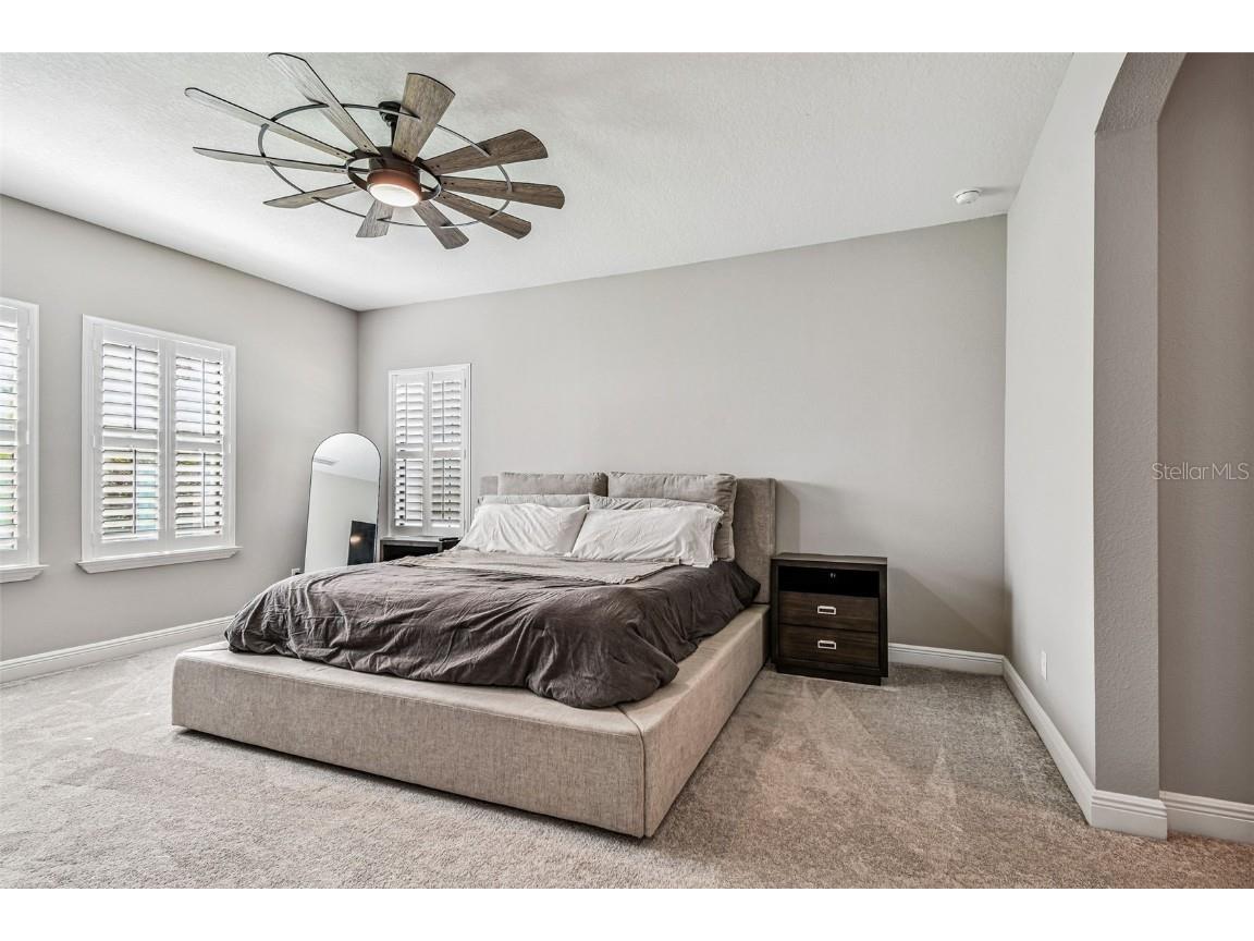 11458 Ranchers Gap Drive Odessa FL 33556 TB8418734 image44