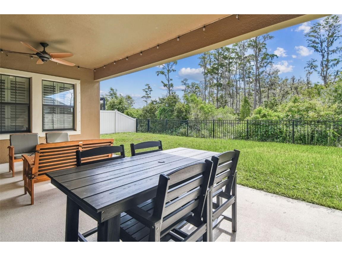 11458 Ranchers Gap Drive Odessa FL 33556 TB8418734 image61