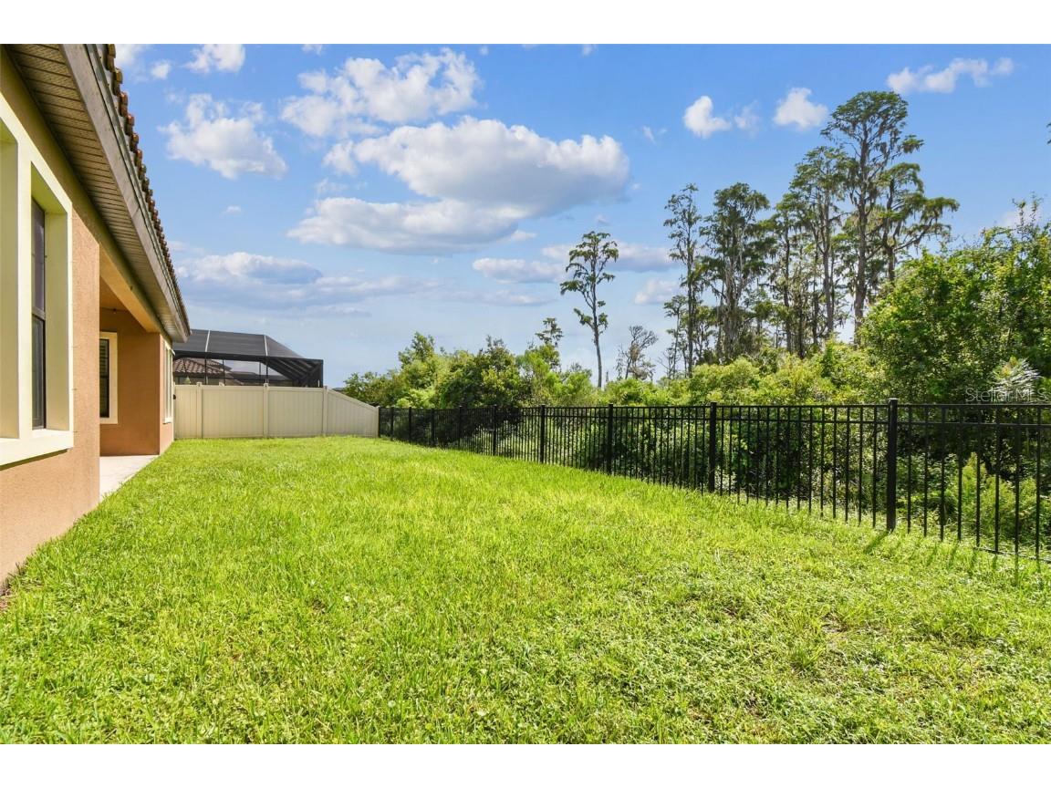 11458 Ranchers Gap Drive Odessa FL 33556 TB8418734 image62