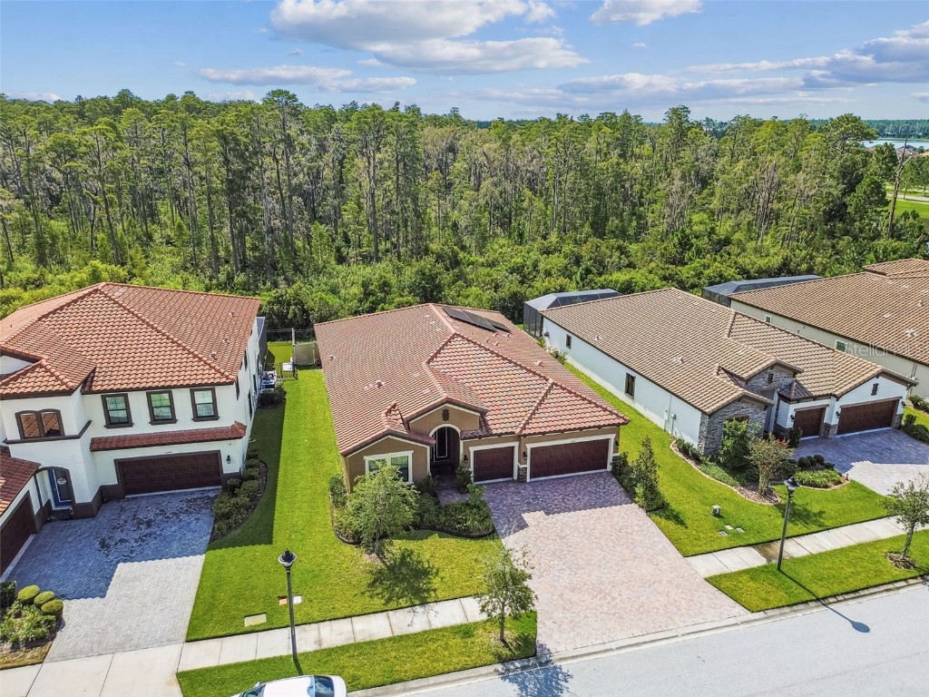 11458 Ranchers Gap Drive Odessa FL 33556 TB8418734 image67