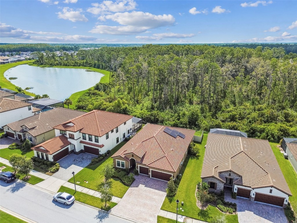 11458 Ranchers Gap Drive Odessa FL 33556 TB8418734 image68