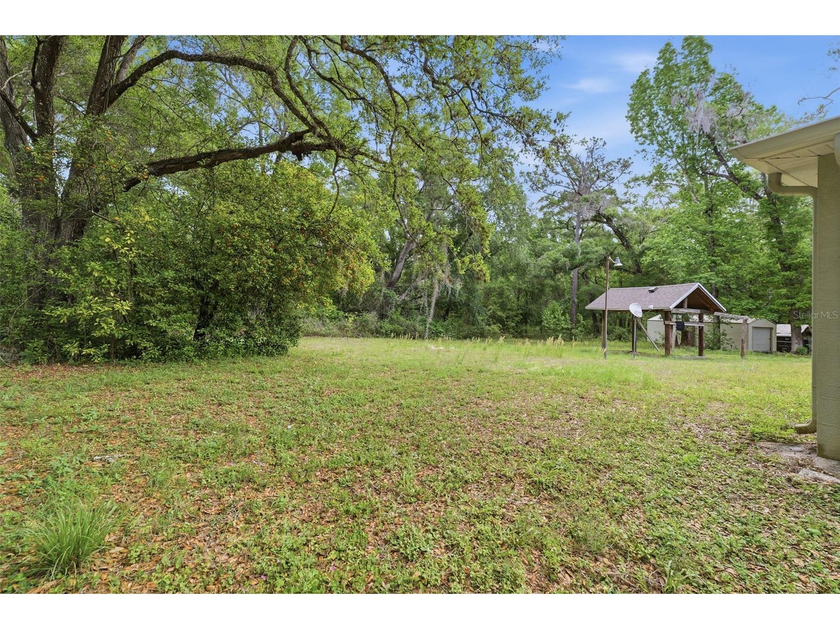 11459 Trail Ridge Run Brooksville FL 34601 W7884446 image37