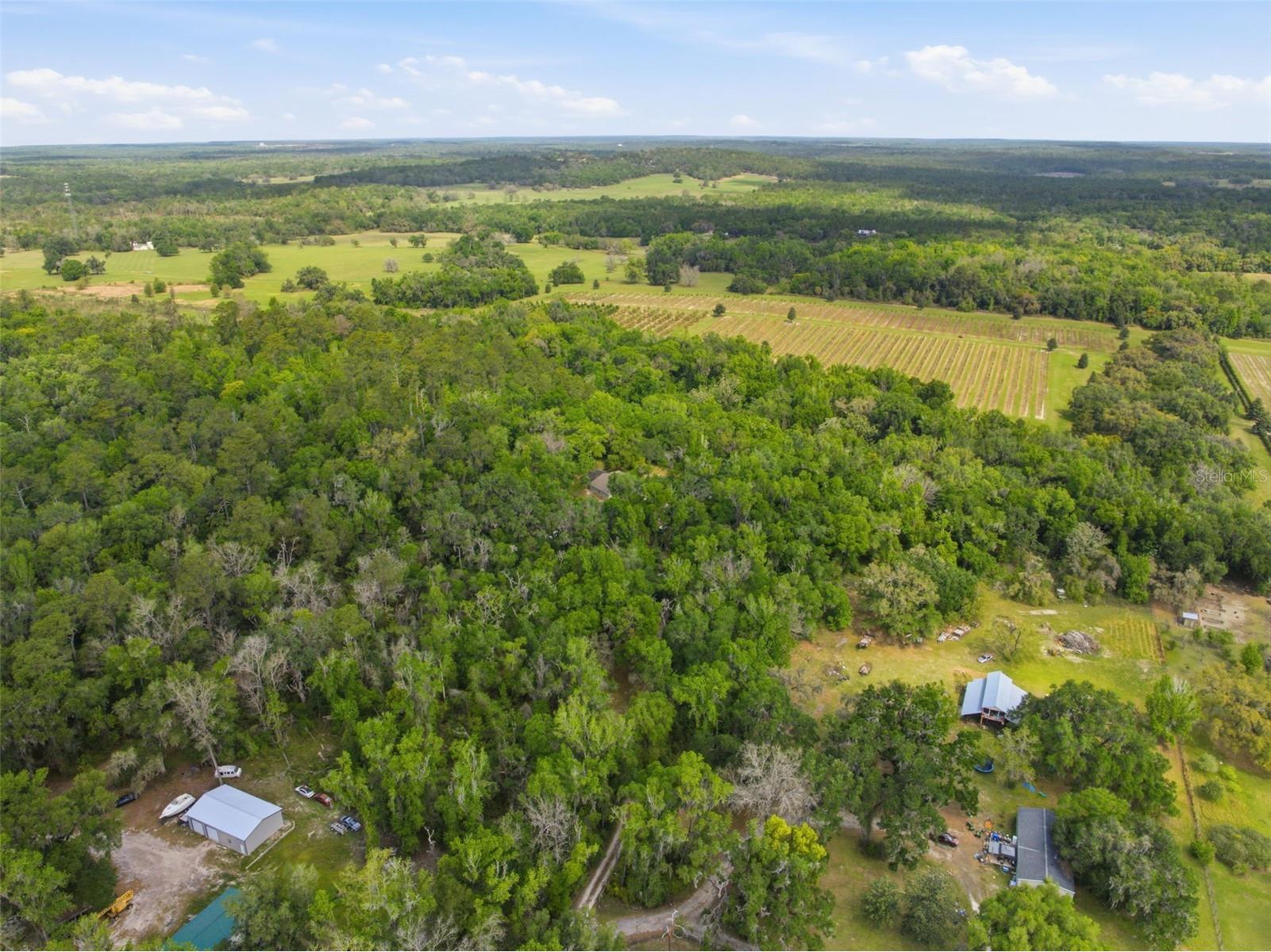11459 Trail Ridge Run Brooksville FL 34601 W7884446 image56
