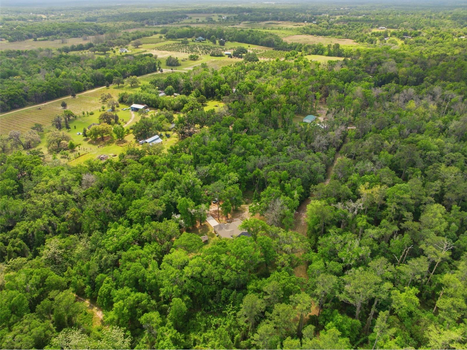 11459 Trail Ridge Run Brooksville FL 34601 W7884446 image58