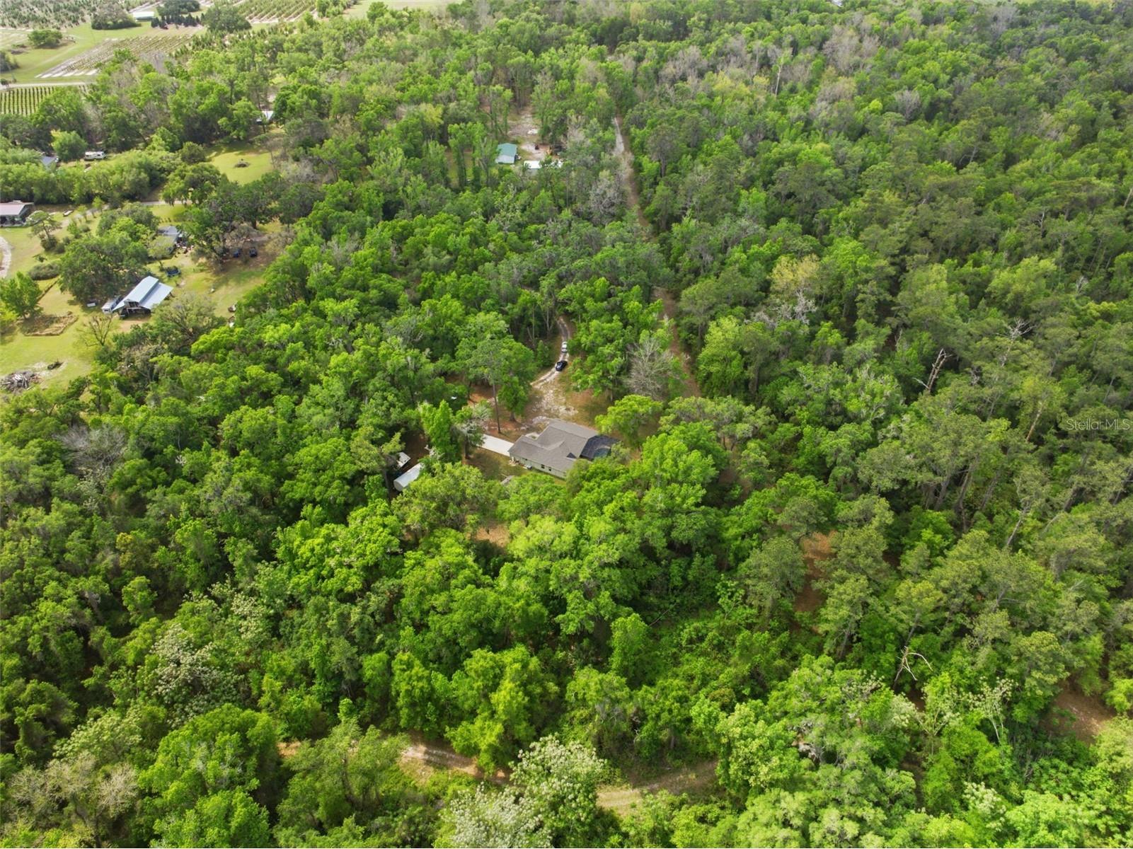11459 Trail Ridge Run Brooksville FL 34601 W7884446 image60