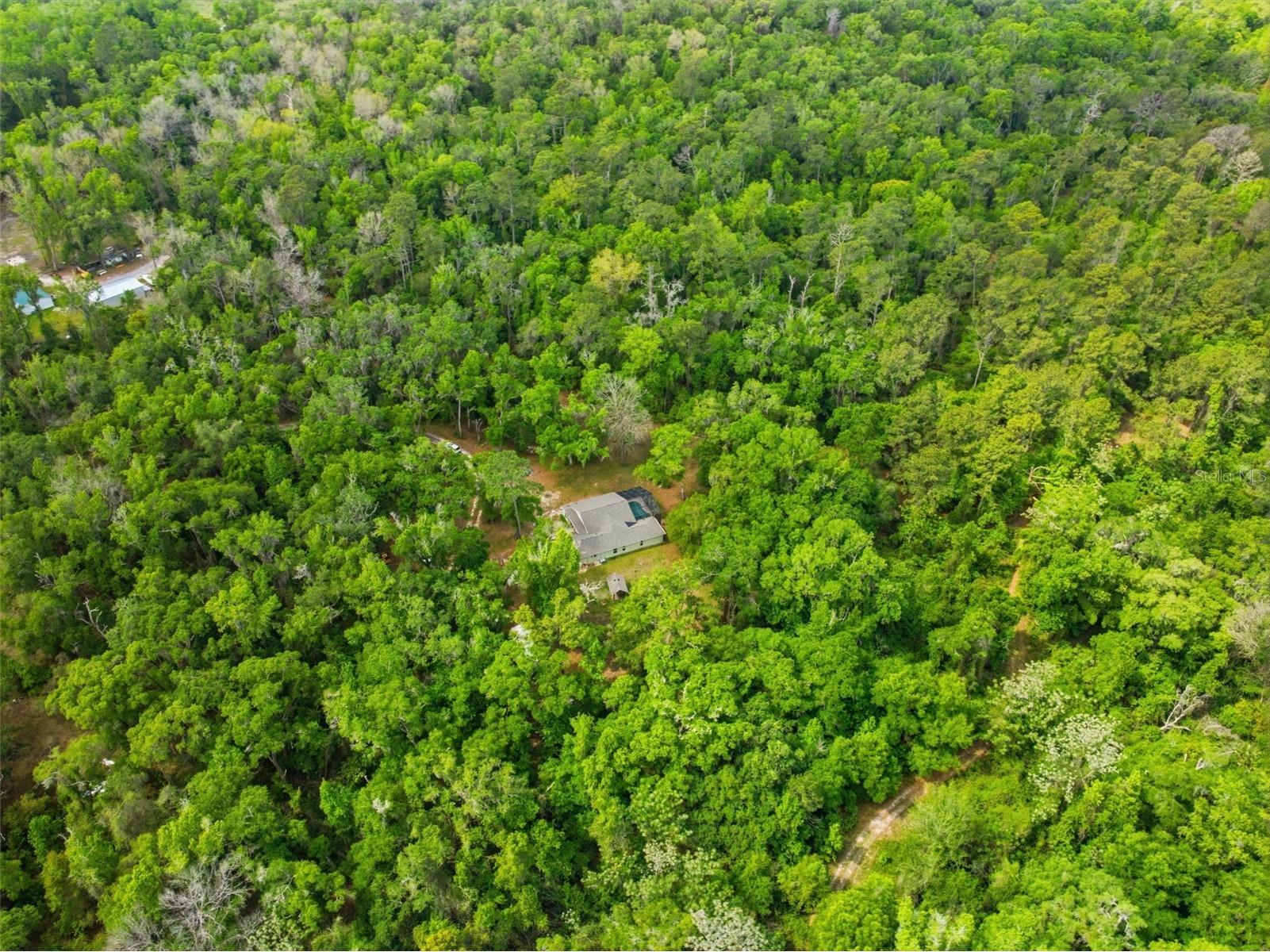 11459 Trail Ridge Run Brooksville FL 34601 W7884446 image61