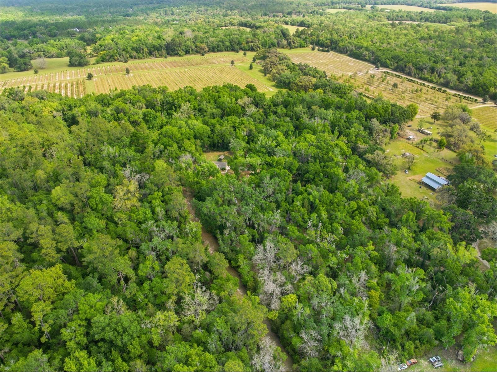 11459 Trail Ridge Run Brooksville FL 34601 W7884446 image62