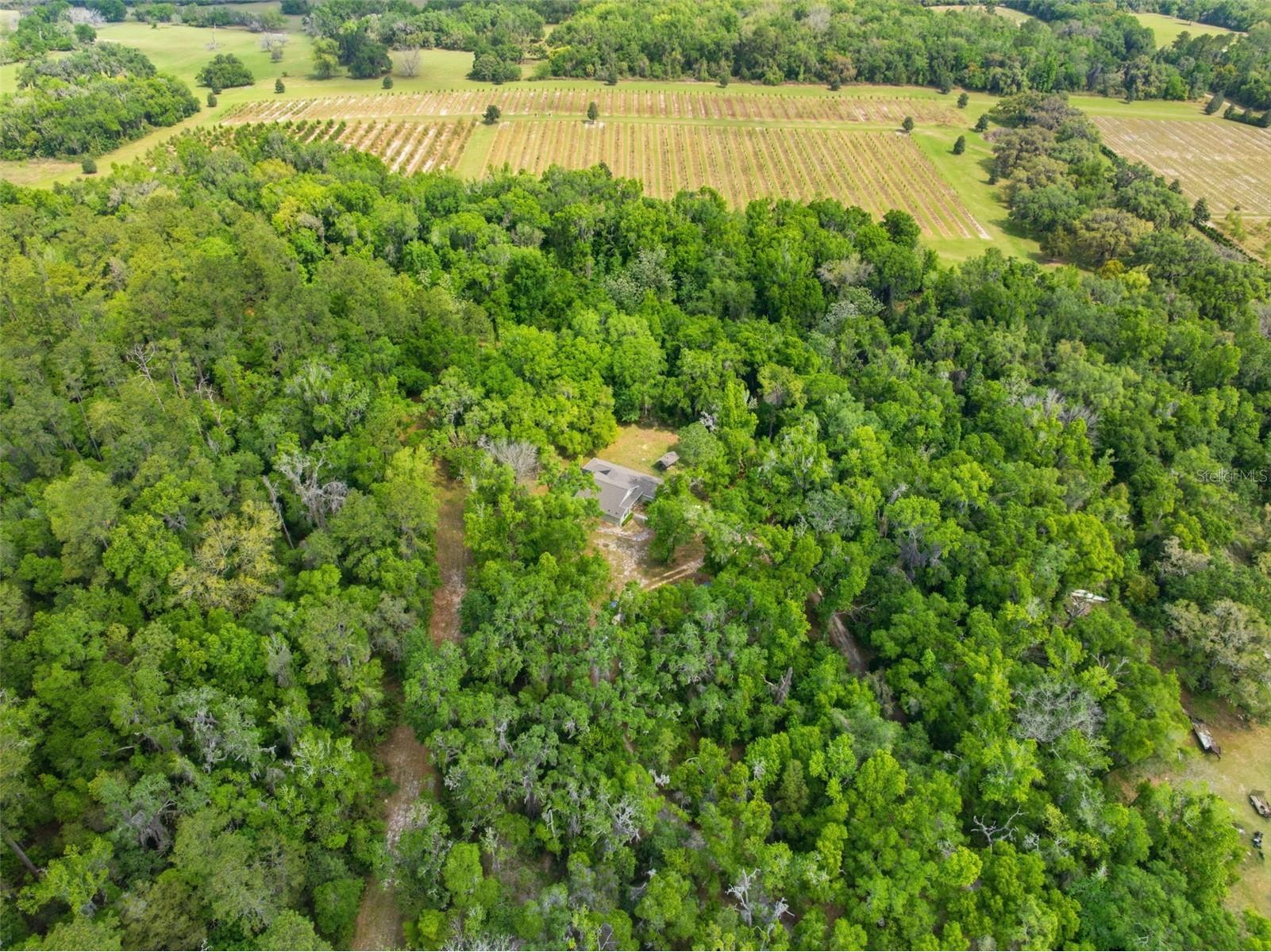 11459 Trail Ridge Run Brooksville FL 34601 W7884446 image63