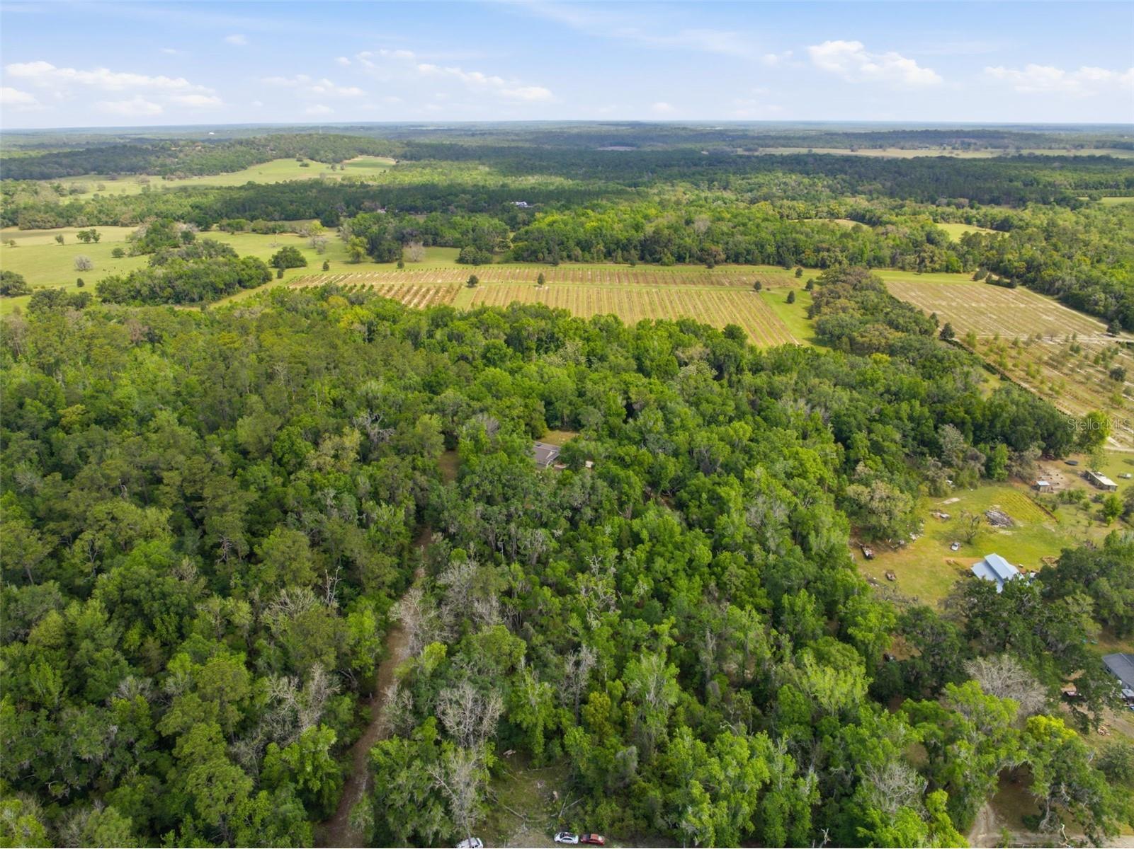 11459 Trail Ridge Run Brooksville FL 34601 W7884446 image64