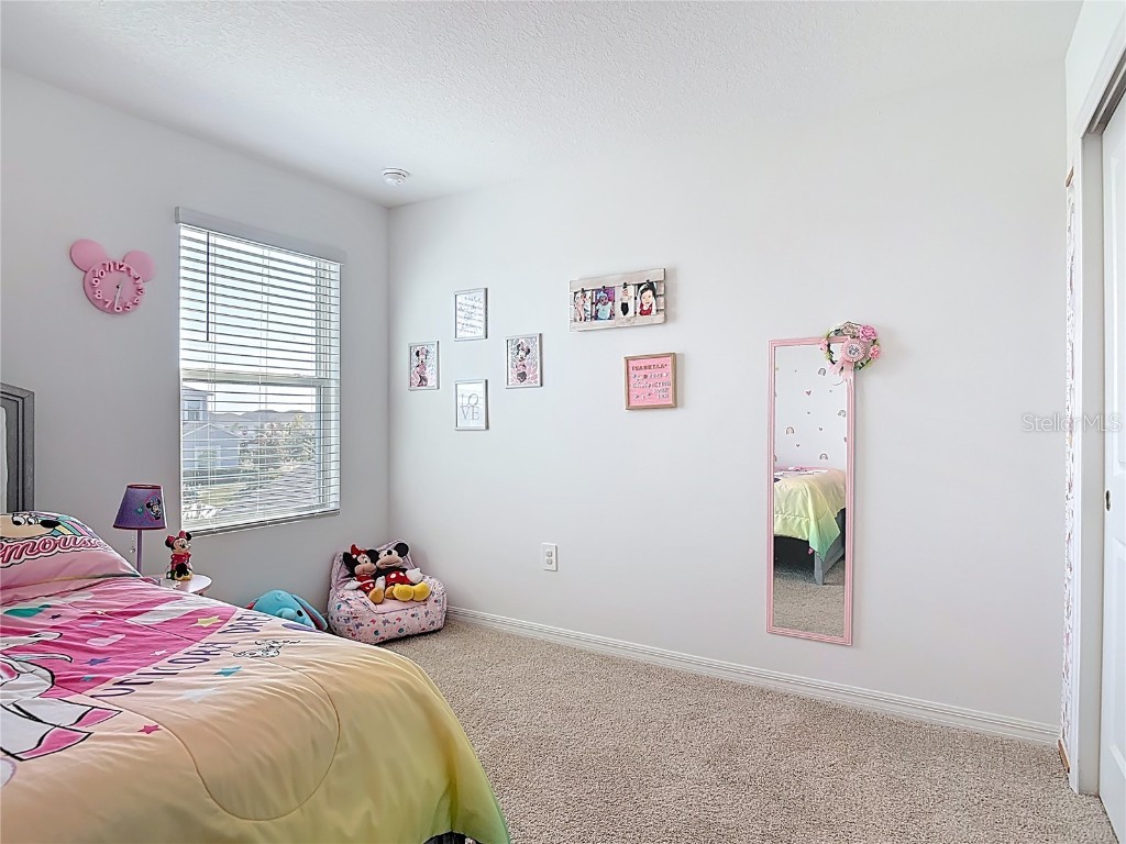 1146 Calico Pointe Circle Groveland FL 34736 O6365273 image33