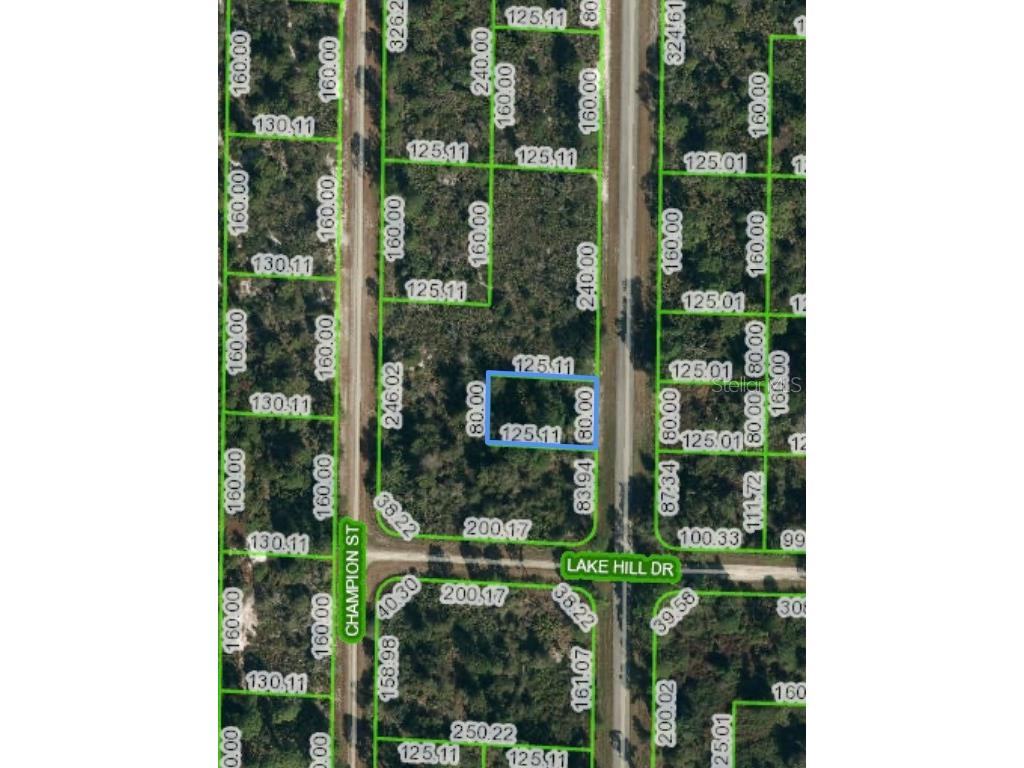 1146 Durrance Road Lake Placid FL 33852 O6122466 image1