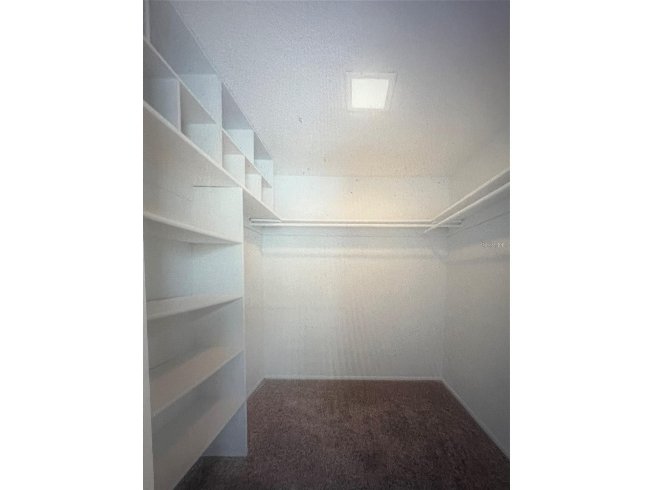 1146 King Arthur Court #110 Dunedin FL 34698 TB8447112 image53