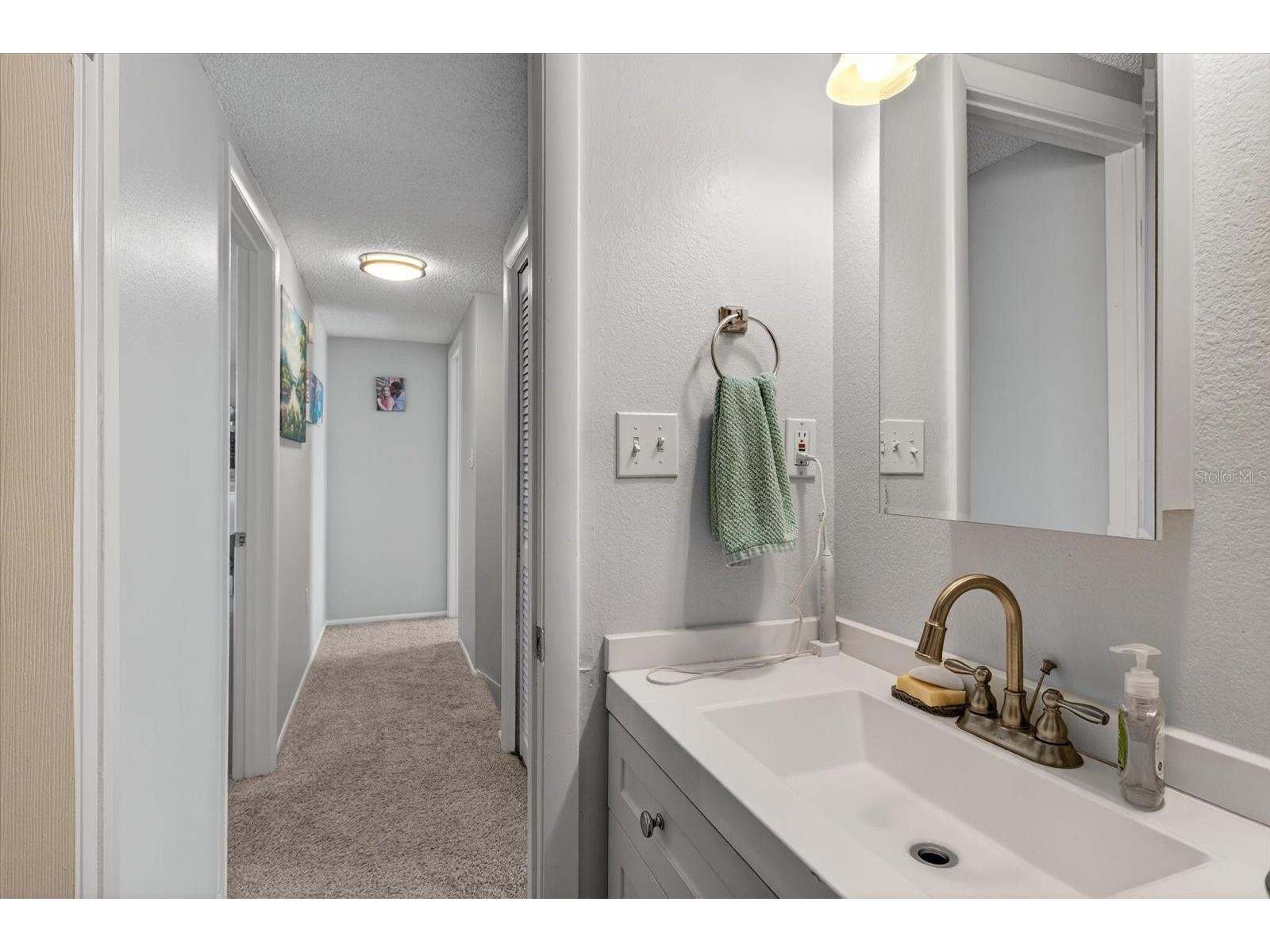1146 King Arthur Court #110 Dunedin FL 34698 TB8447112 image66