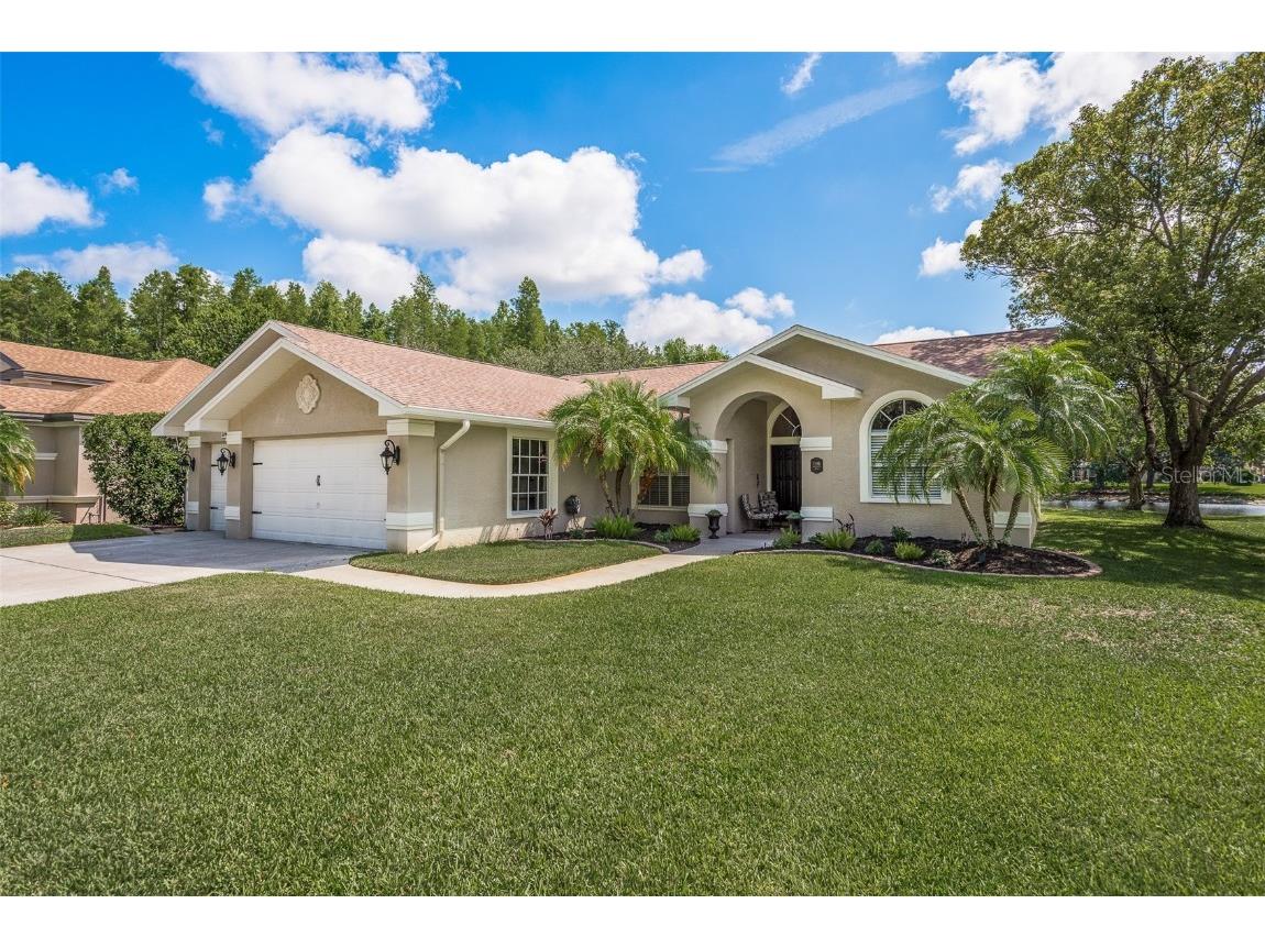 1146 Maravista Drive Trinity FL 34655 U8204148 image1
