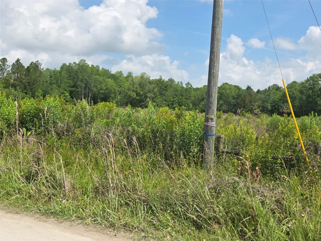 1146 N Jorie Terrace Crystal River FL 34429 OM702056 image13