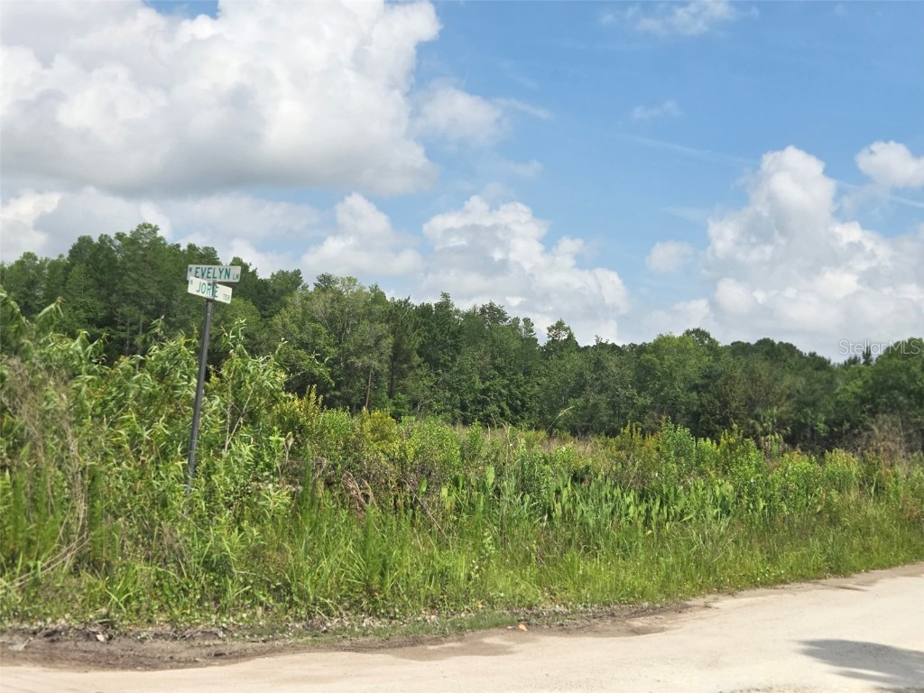 1146 N Jorie Terrace Crystal River FL 34429 OM702056 image14