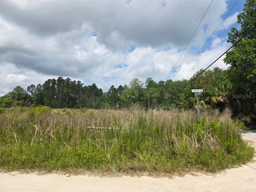 1146 N Jorie Terrace Crystal River FL 34429 OM702056 image15