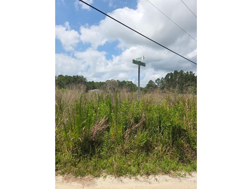 1146 N Jorie Terrace Crystal River FL 34429 OM702056 image16