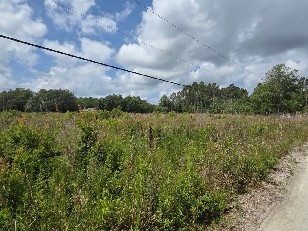 1146 N Jorie Terrace Crystal River FL 34429 OM702056 image4