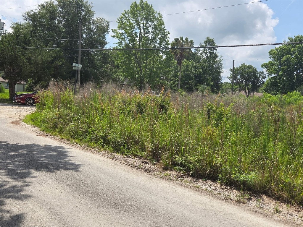 1146 N Jorie Terrace Crystal River FL 34429 OM702056 image5