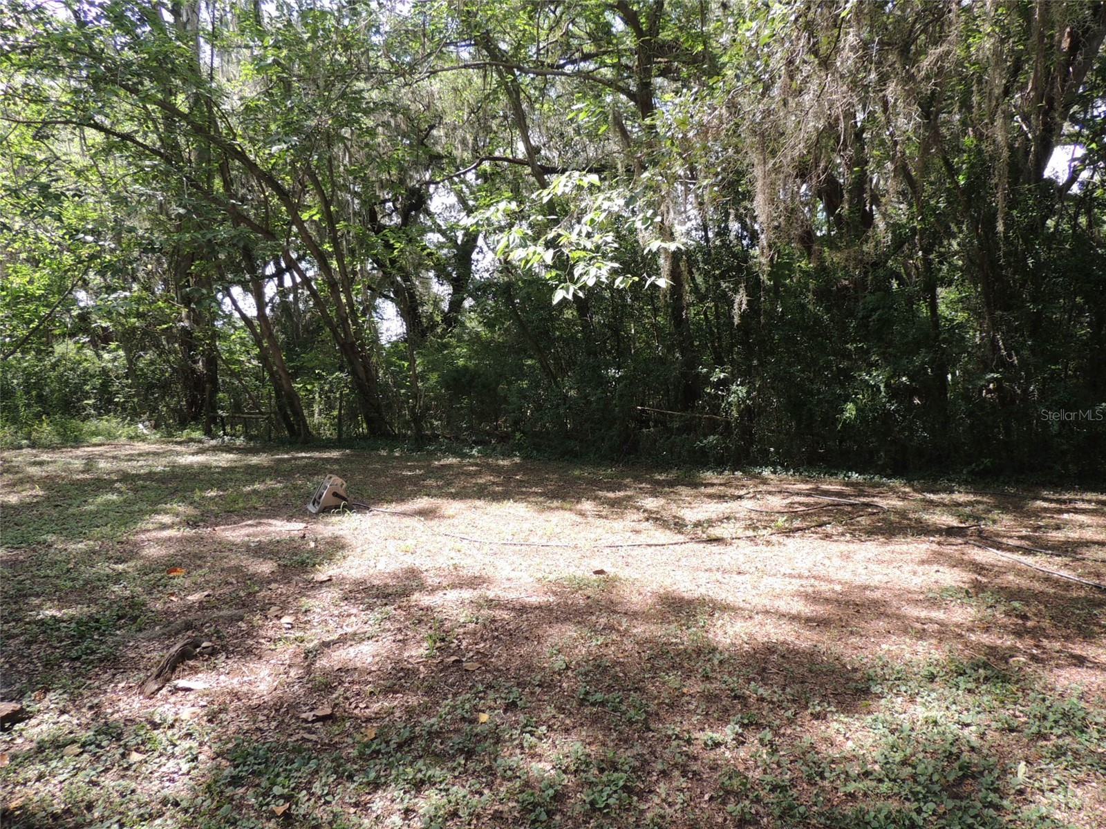 1146 NE 2nd Place Williston FL 32696 OM727520 image6